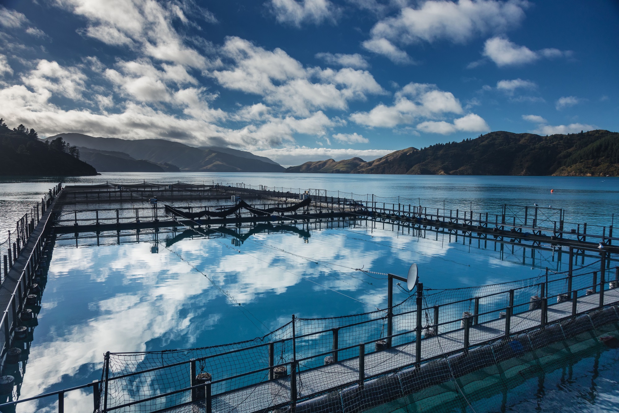 The Global Aquaculture Alliance Has Awarded New Zealand King Salmon ...